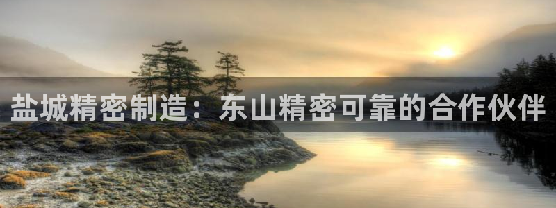 彩神怎么才能赢：盐城精密制造：东山精密可靠的合作伙伴