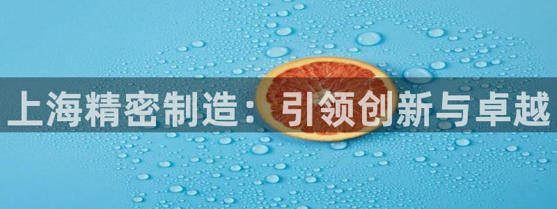 彩神vi官网版：上海精密制造：引领创新与卓越