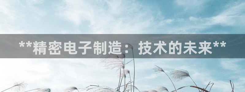 彩神v8是真的挣钱吗知乎：**精密电子制造：技术的未来**