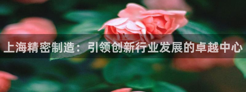 彩神8官网版是正规的吗：上海精密制造：引领创新行业发展的卓越中心