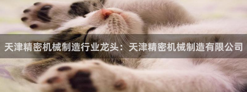 彩神ll能赚钱吗：天津精密机械制造行业龙头：天津精密机械制造有限公司
