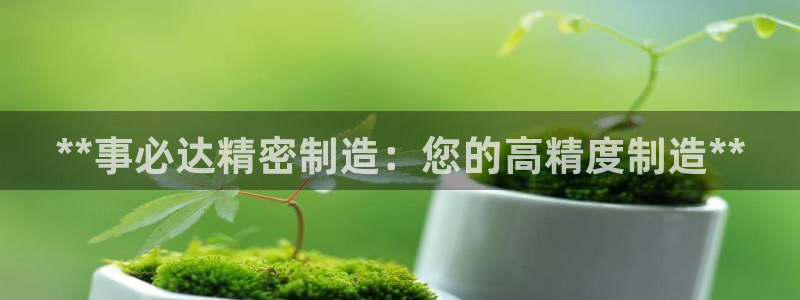 彩神购彩-购彩大厅入口500：**事必达精密制造：您的高精度制造**