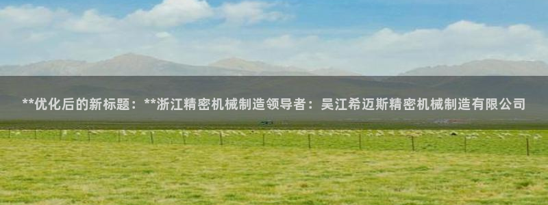 彩神x平台靠什么盈利：**优化后的新标题：**浙江精密机械制造领导者：吴江希迈斯精密机械制造有限公司