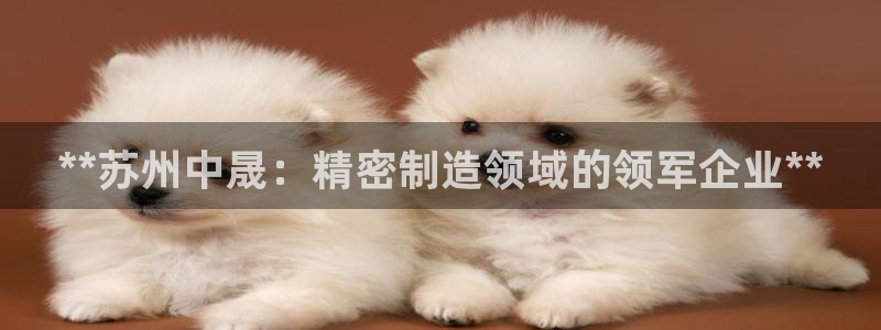 有谁知道彩神争霸的网址：**苏州中晟：精密制造领域的领军企业**