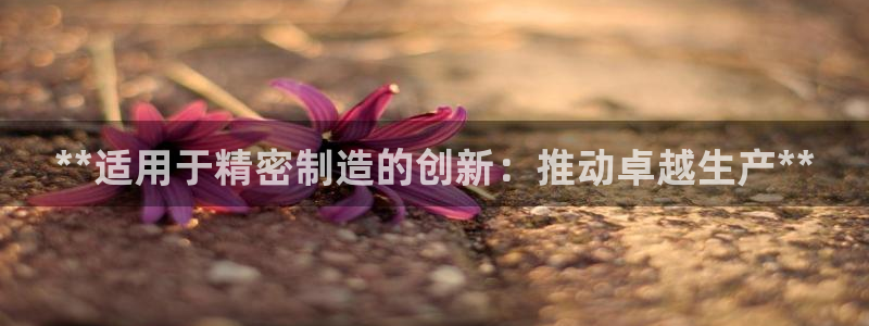 所有彩神购买首页中心：**适用于精密制造的创新：推动卓越生产**