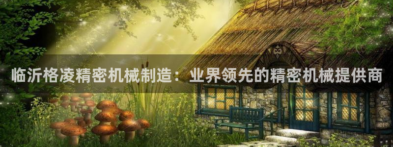 彩神官方邀请码是多少：临沂格凌精密机械制造：业界领先的精密机械提供商