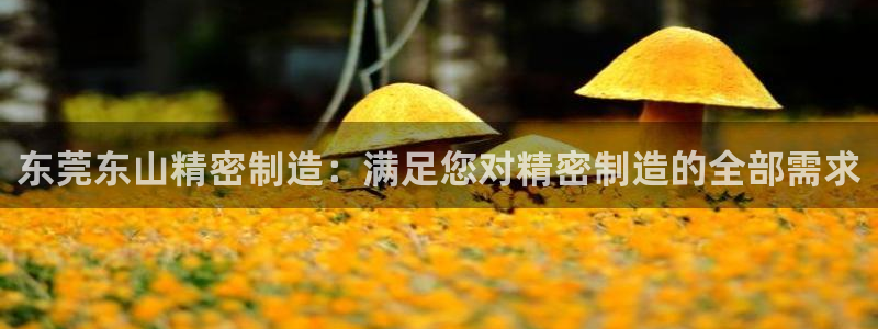 彩神Vii购彩-购彩大厅：东莞东山精密制造：满足您对精密制造的全部需求