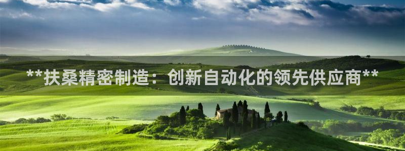 彩神趣购彩用户注册：**扶桑精密制造：创新自动化的领先供应商**