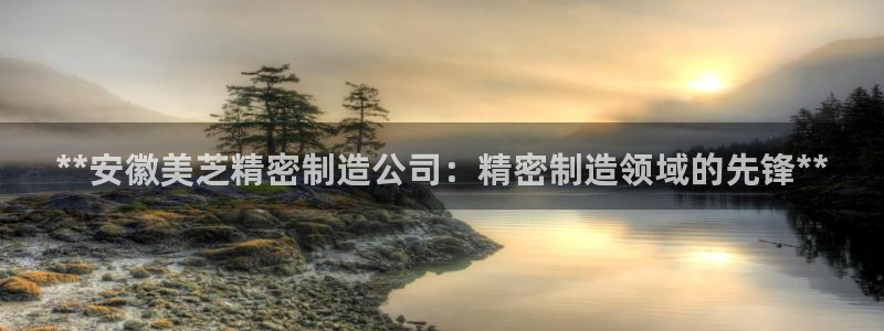 彩神8官网版是正规的吗：**安徽美芝精密制造公司：精密制造领域的先锋**