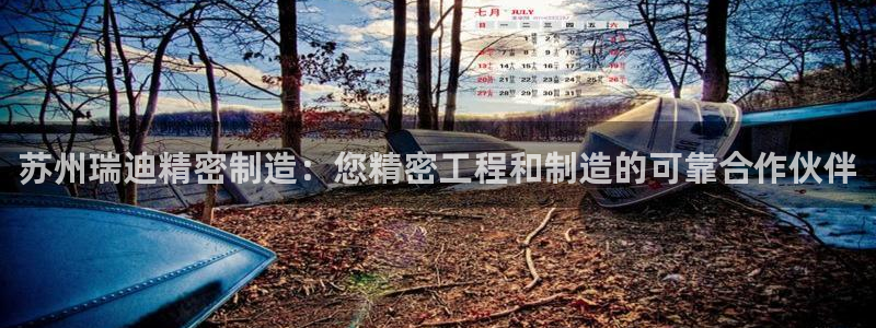 彩神8官网版是正规的吗：苏州瑞迪精密制造：您精密工程和制造的可靠合作伙伴