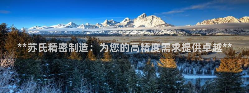 彩神的邀请码是多少：**苏氏精密制造：为您的高精度需求提供卓越**
