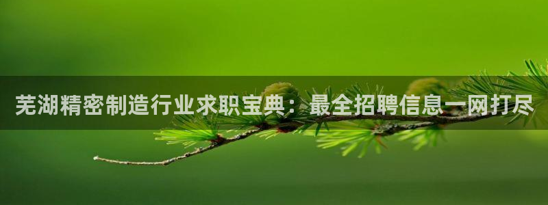 彩神v8app：芜湖精密制造行业求职宝典：最全招聘信息一网打尽