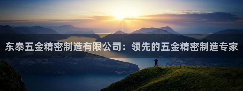 所有彩神购买首页都一样吗：东泰五金精密制造有限公司：领先的五金精密制造专家