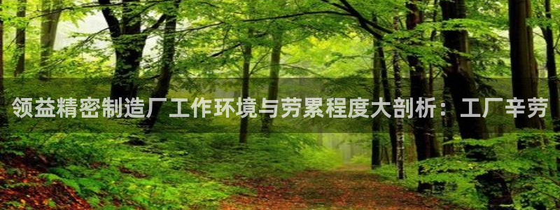 彩神盈利图片：领益精密制造厂工作环境与劳累程度大剖析：工厂辛劳