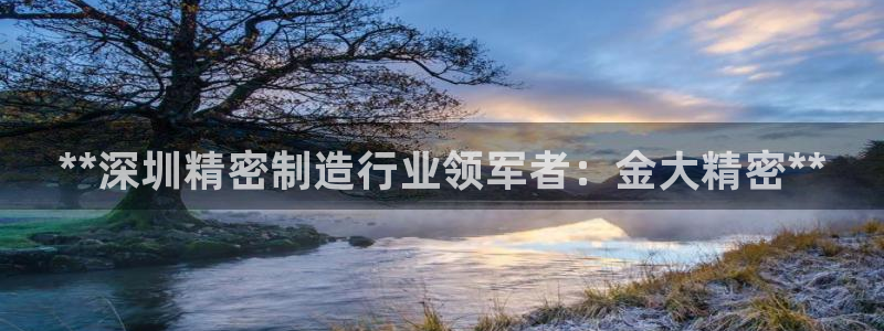 彩神v8几个版本：**深圳精密制造行业领军者：金大精密**