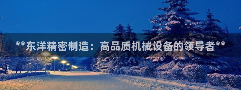 彩神数码科技有限公司：**东洋精密制造：高品质机械设备的领导者**