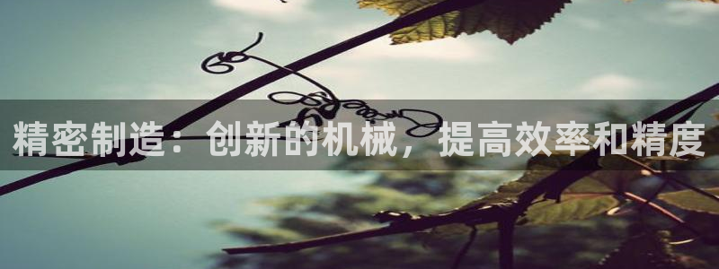 大发彩神争：精密制造：创新的机械，提高效率和精度