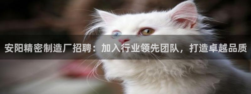 彩神平台：安阳精密制造厂招聘：加入行业领先团队，打造卓越品质