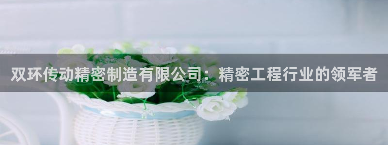 彩神官方网站登录是多少：双环传动精密制造有限公司：精密工程行业的领军者