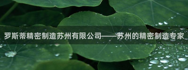 彩神v8平台正规吗知乎：罗斯蒂精密制造苏州有限公司——苏州的精密制造专家
