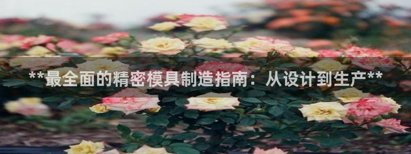 有谁知道彩神争霸的网址：**最全面的精密模具制造指南：从设计到生产**