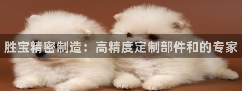 彩神app能挣到钱吗：胜宝精密制造：高精度定制部件和的专家