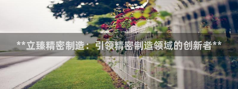 彩神官方邀请码是多少：**立臻精密制造：引领精密制造领域的创新者**