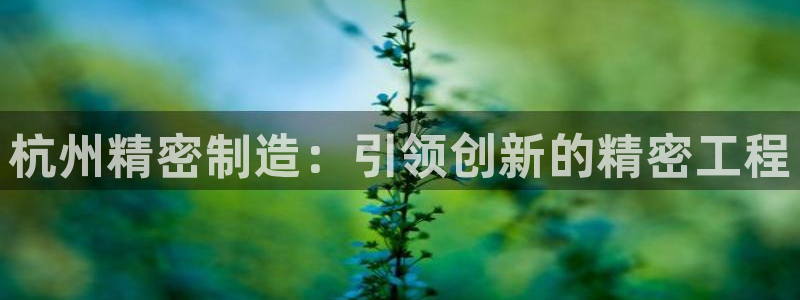 所有彩神购买首页中心：杭州精密制造：引领创新的精密工程