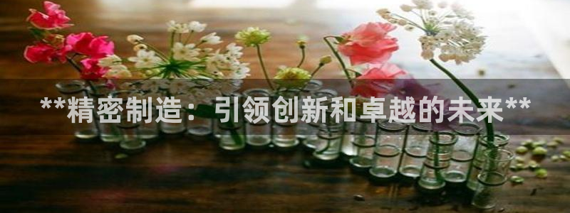 彩神8官网500：**精密制造：引领创新和卓越的未来**