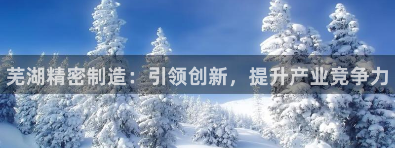 彩神争霸老平台：芜湖精密制造：引领创新，提升产业竞争力