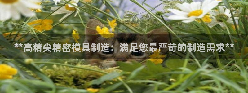 彩神vlll(中国)百度百科：**高精尖精密模具制造：满足您最严苛的制造需求**