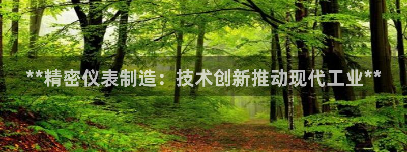 彩神v破解版：**精密仪表制造：技术创新推动现代工业**