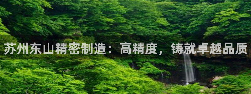 彩神网可以赚钱是真的吗：苏州东山精密制造：高精度，铸就卓越品质