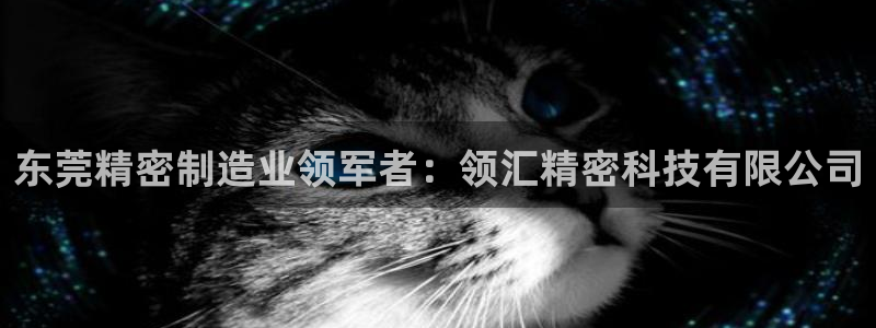 彩神骗局：东莞精密制造业领军者：领汇精密科技有限公司