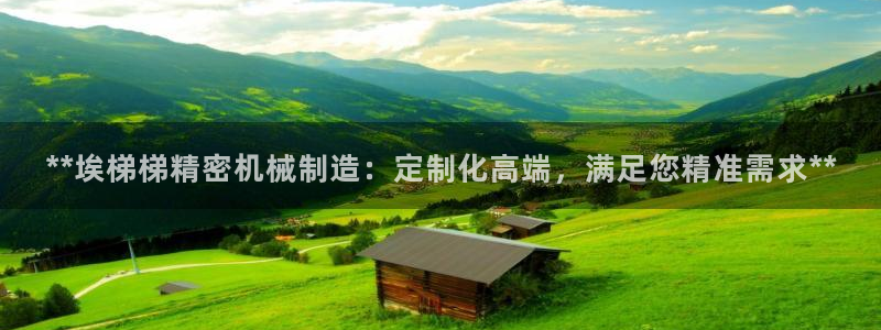 彩神v8是真的挣钱吗知乎：**埃梯梯精密机械制造：定制化高端，满足您精准需求**