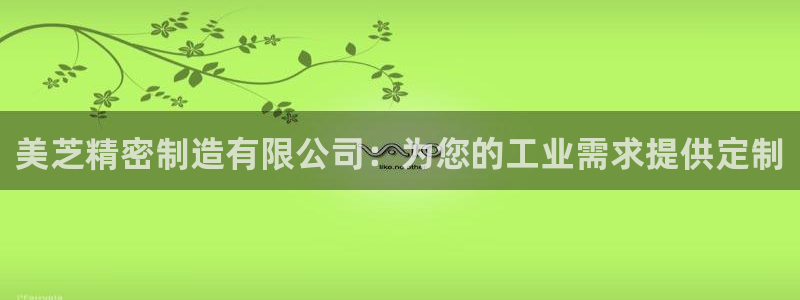 彩神通官方网：美芝精密制造有限公司：为您的工业需求提供定制