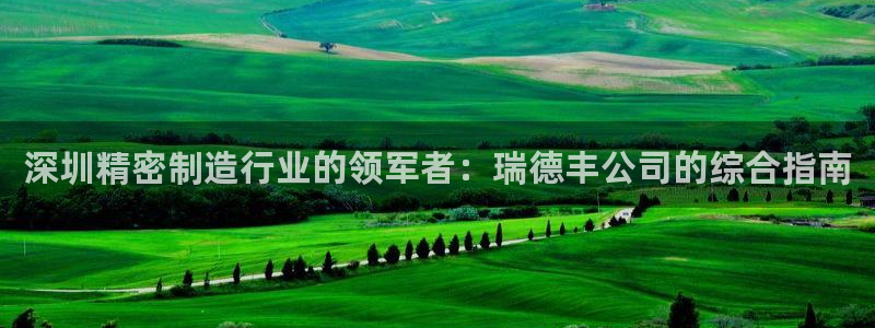 彩神V3大赢家：深圳精密制造行业的领军者：瑞德丰公司的综合指南