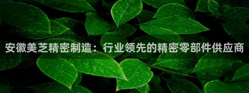 彩神vlll游戏特色：安徽美芝精密制造：行业领先的精密零部件供应商
