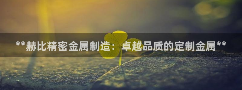 彩神vⅲ下载安装：**赫比精密金属制造：卓越品质的定制金属**