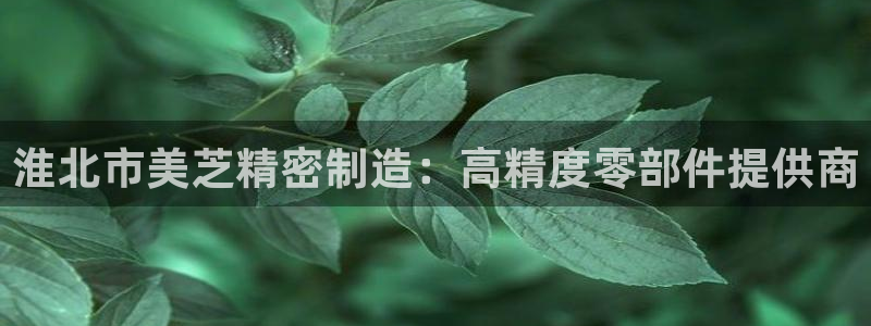 彩神争霸官方下载：淮北市美芝精密制造：高精度零部件提供商