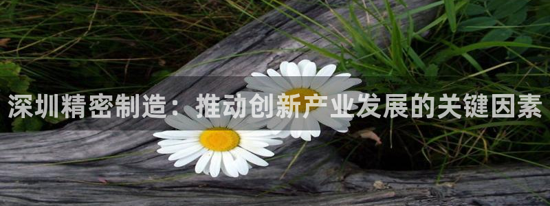 彩神ios下载：深圳精密制造：推动创新产业发展的关键因素