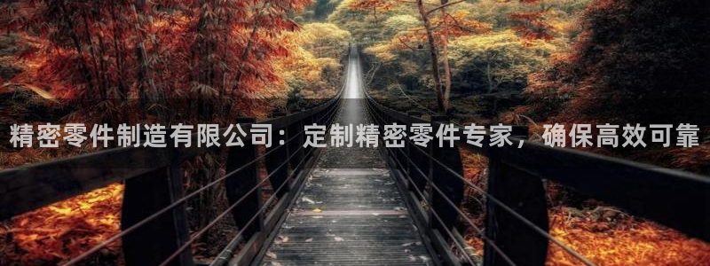 彩神v8是真的挣钱吗知乎：精密零件制造有限公司：定制精密零件专家，确保高效可靠