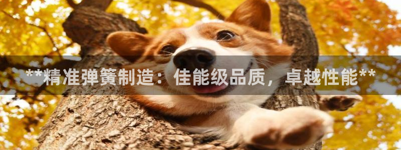 彩神v8平台正规吗知乎：**精准弹簧制造：佳能级品质，卓越性能**