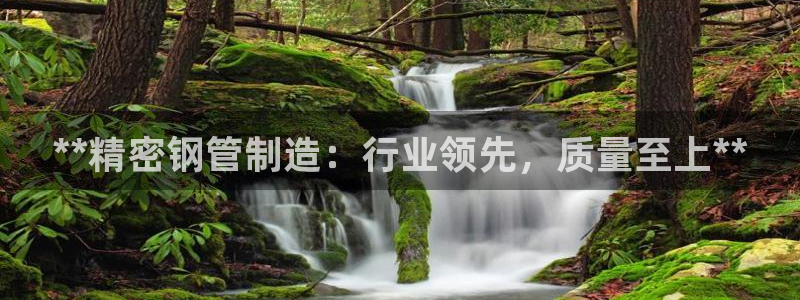 彩神v违法么：**精密钢管制造：行业领先，质量至上**