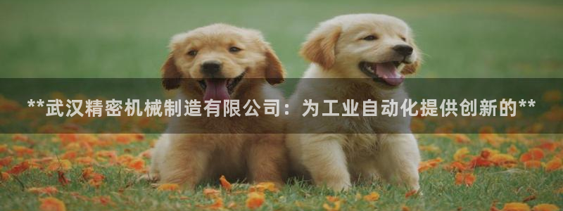 v彩神88iii：**武汉精密机械制造有限公司：为工业自动化提供创新的**