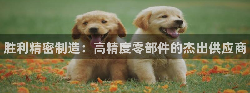 彩神ii官方网：胜利精密制造：高精度零部件的杰出供应商