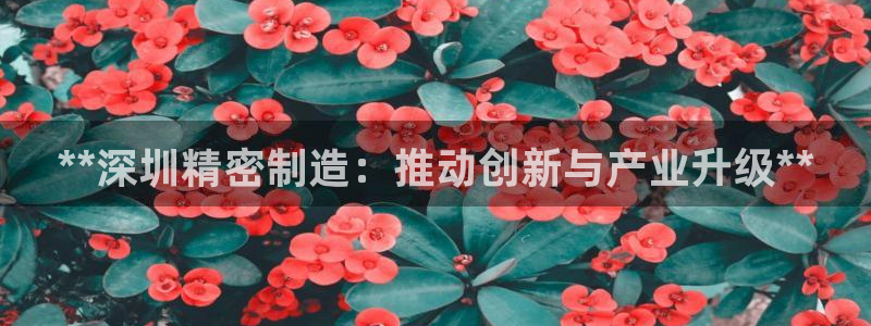彩神盈利图片：**深圳精密制造：推动创新与产业升级**