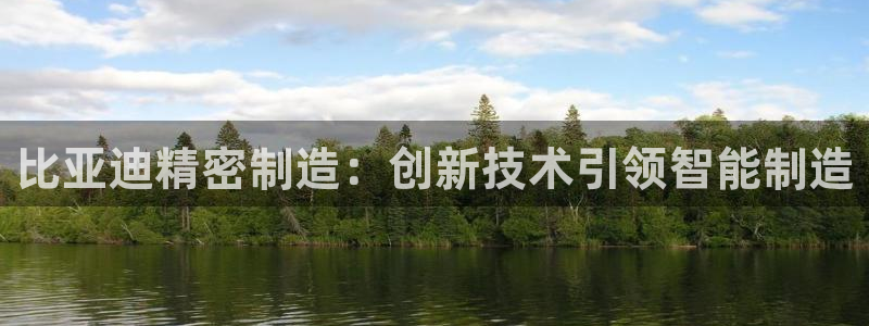 彩神VII官方版：比亚迪精密制造：创新技术引领智能制造