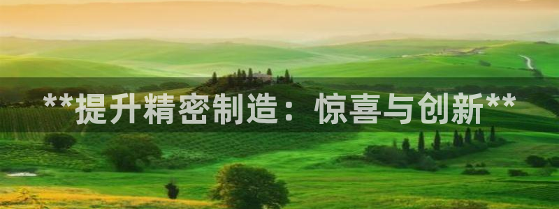 彩神平台是什么套路：**提升精密制造：惊喜与创新**