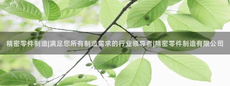 所有彩神购买首页都一样吗：精密零件制造|满足您所有制造需求的行业领导者|精密零件制造有限公司